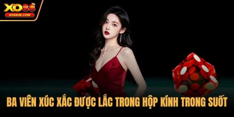 Ba viên xúc xắc được lắc trong hộp kính trong suốt
